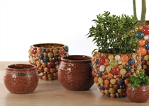 2024 Herbst, Weihnacht